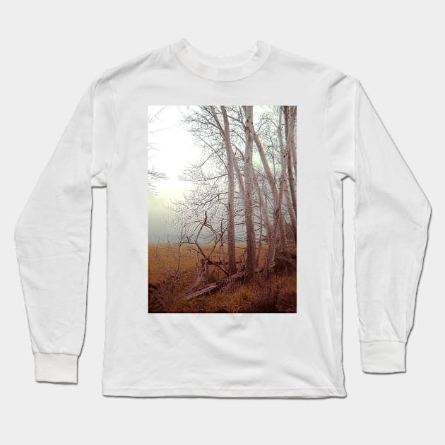 Ash trees and mist Long Sleeve T-Shirt by rozmcq